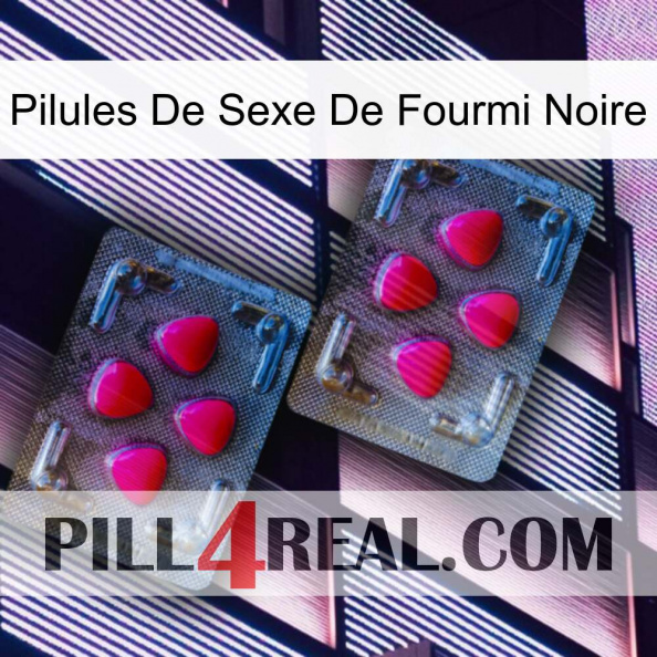 Black Ant Sex Pills 14